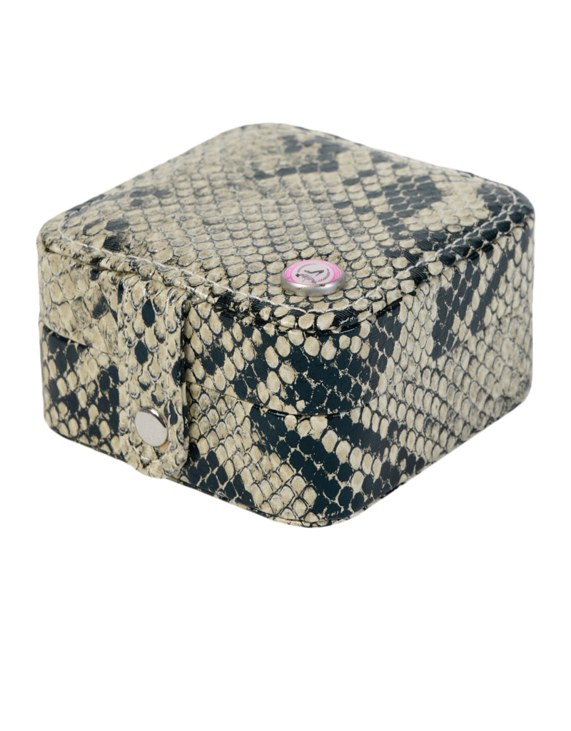 Python print BIG FIVE jewel case