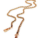 Gold and brown crossbody chain strap with clasps, compatible with shopper bags or clutches, premium material.